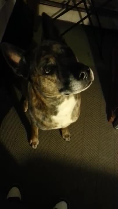 OUR PRECIOUS BOY CHARLIE