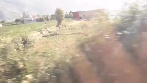 Mountain of morocco cannabis
