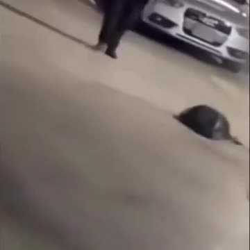 ..Argument Escalates to Deadly Shooting Outside Austin Sports Bar