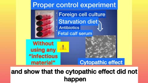 The Final Refutal of Virology: Scientific Proof Covid Isn't Even Real