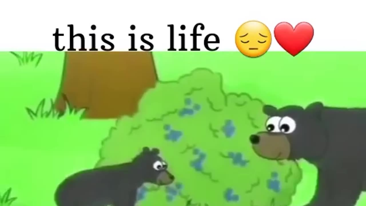 Help animals