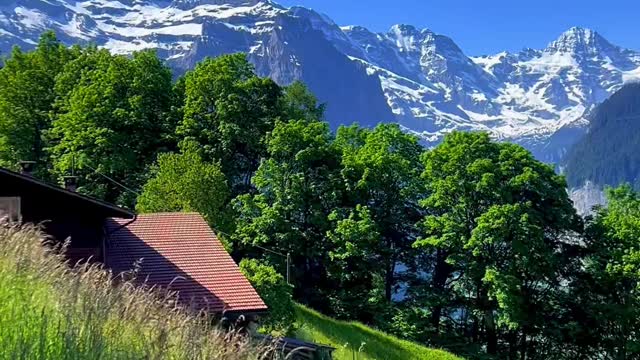 Summer Mountain 🏔 of Swiss Alps🇨🇭 📍Berner Oberland🇨🇭