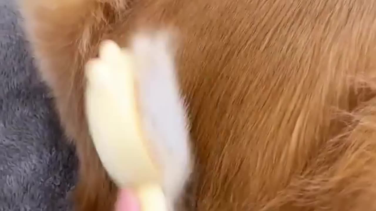 thats alot of pancakes ;grooming routine