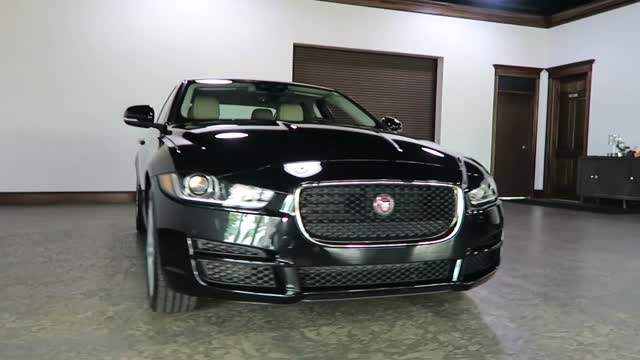 2019 Jaguar XE 25t Prestige AWD for Sale in Canton, Ohio Jeff's Motorcars