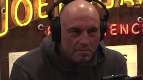 Joe Rogan Gets A Sense That The Government Is Throwing The Current Administration Under The Bus