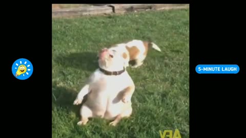 Try not to laugh #2