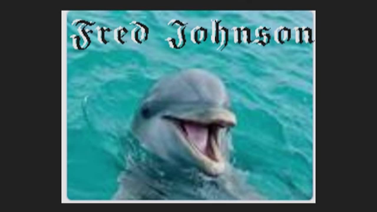 The Dolphin Blues - A Tribute to Flipper sung by Fred Johnson