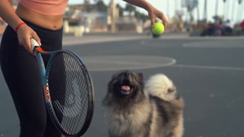 lovly dog!!