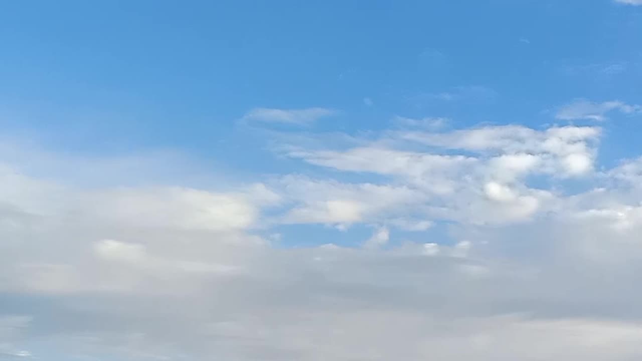 Morning Glimpse