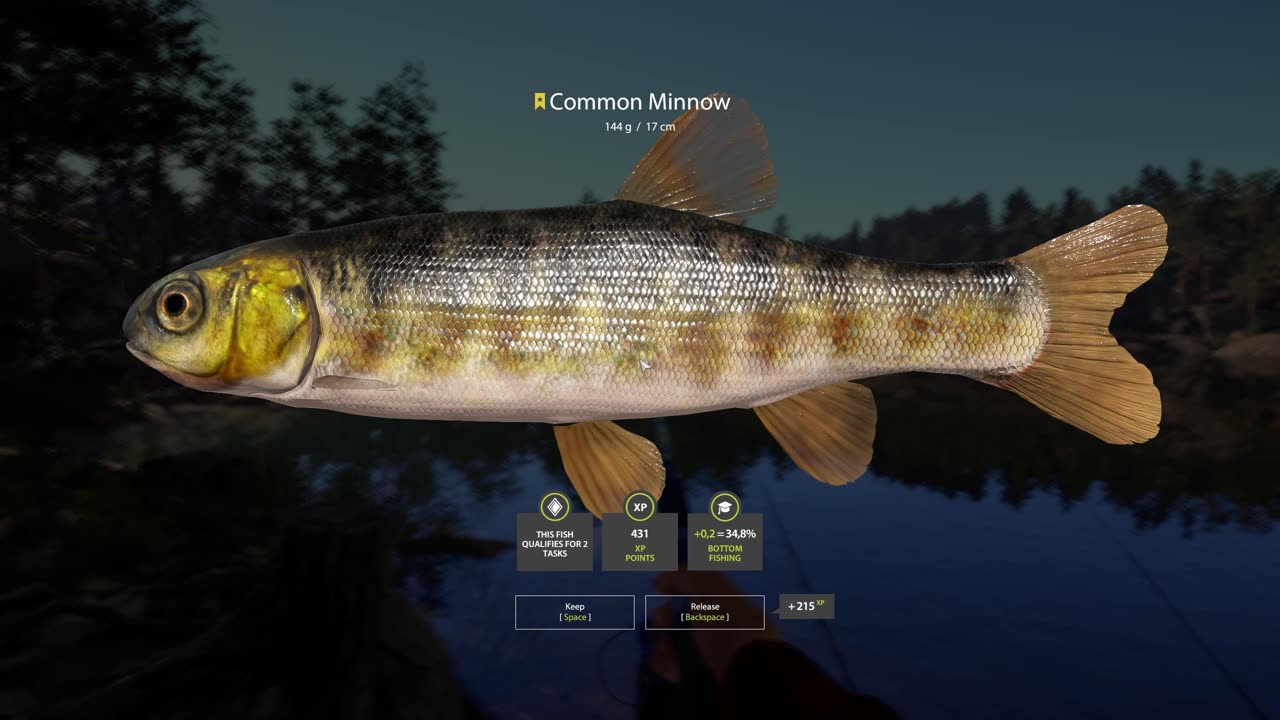 Rare Trophy Common Minnow , Kuori Lake fishing spot, Russian Fishing 4