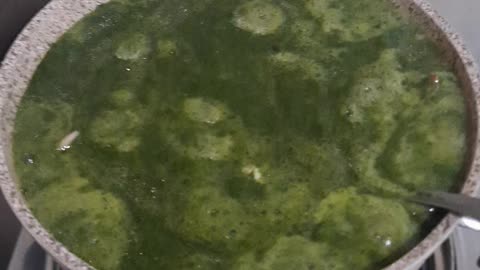 Molokhia