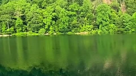 MAJESTIC HESSIAN LAKE