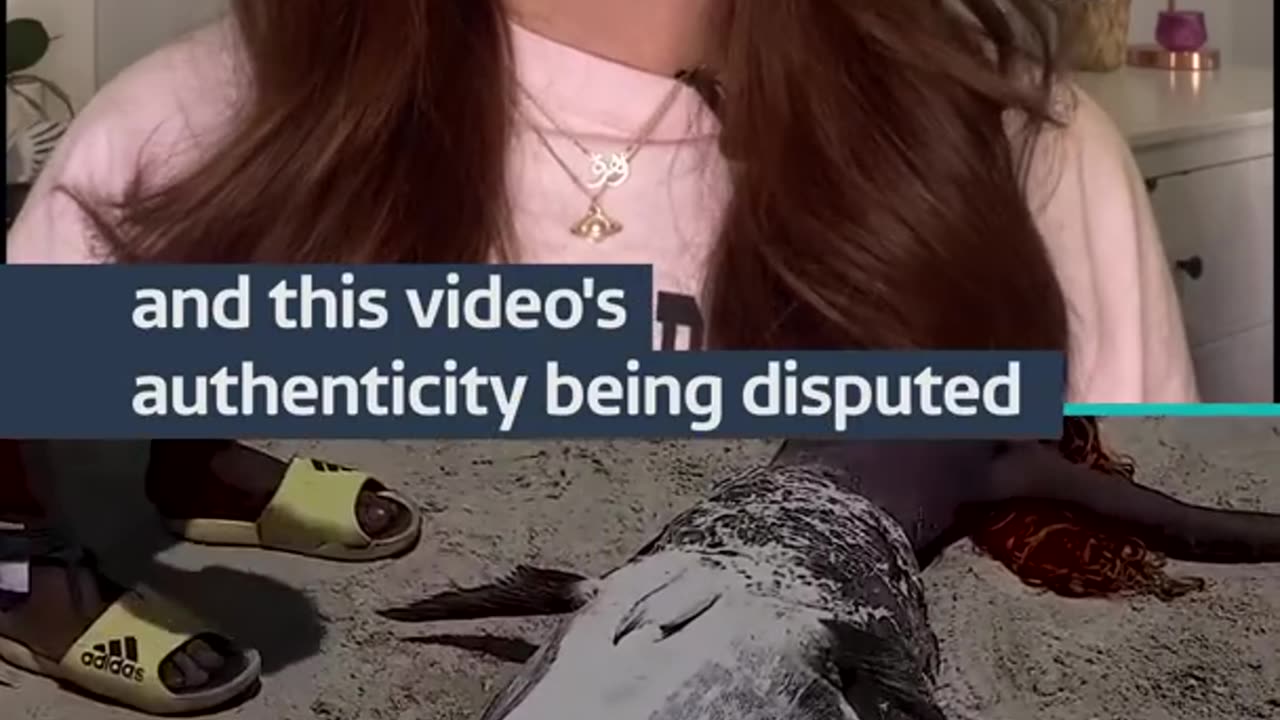 the mermaid showed on site |vides getting viral oldvifeo|