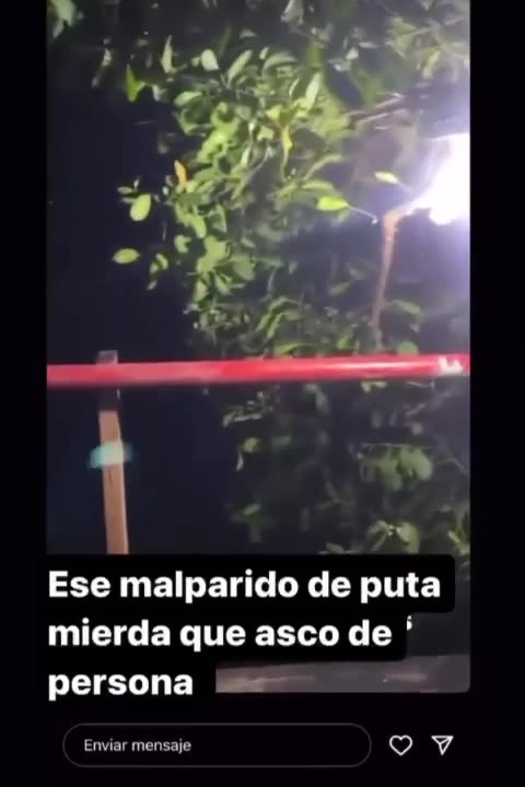 Video: Jóvenes en Manga lazaron un perro a la bahía y lo subieron a Instagram