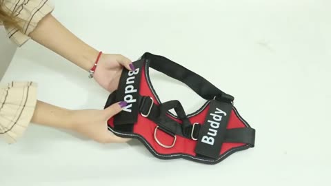 Reflective Breathable No Pull Pet Harness Vest