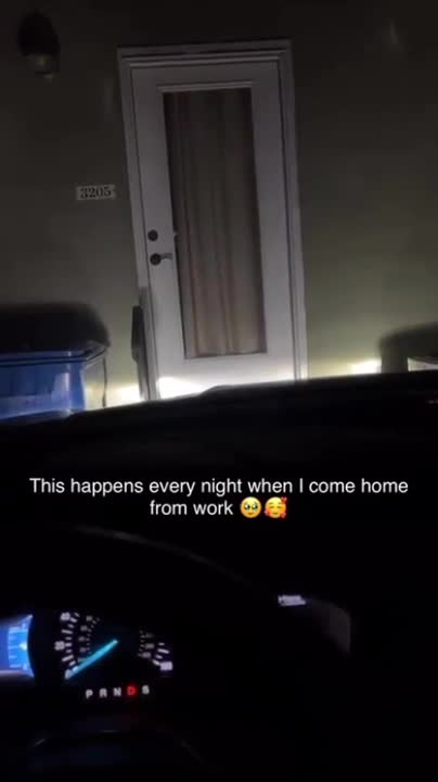 The best way to arrive home