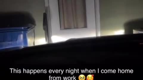 The best way to arrive home
