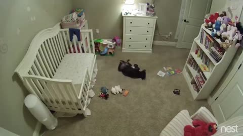 Hidden Nanny cam.