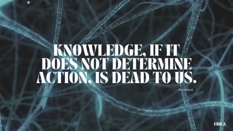 DAILY MOTIVATION 9: Knowledge Determines Action | relaxing background, instrumental, chill, stress relief