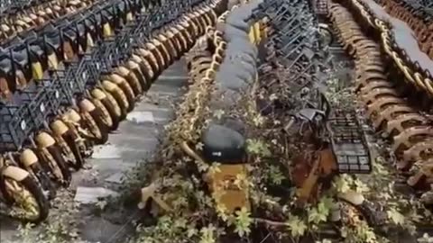 electric scooters graveyard