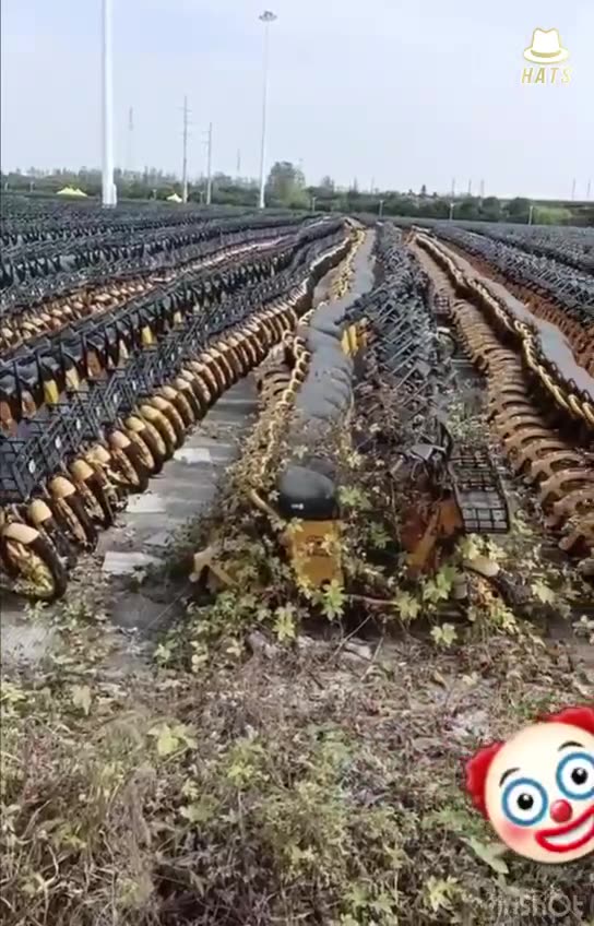 electric scooters graveyard