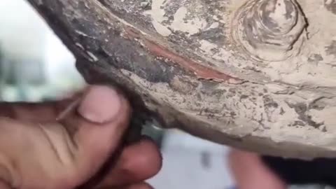 Finally, I saw the unexpected result of repairing the car.