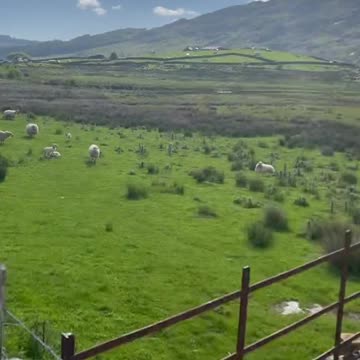 Isn't this the cutest video on the planet or what? Omg🥺❤