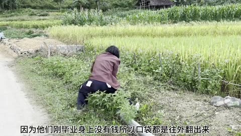 Very funny videos