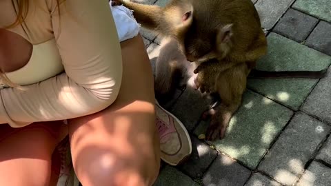 Cool and funny clip😂😁😍