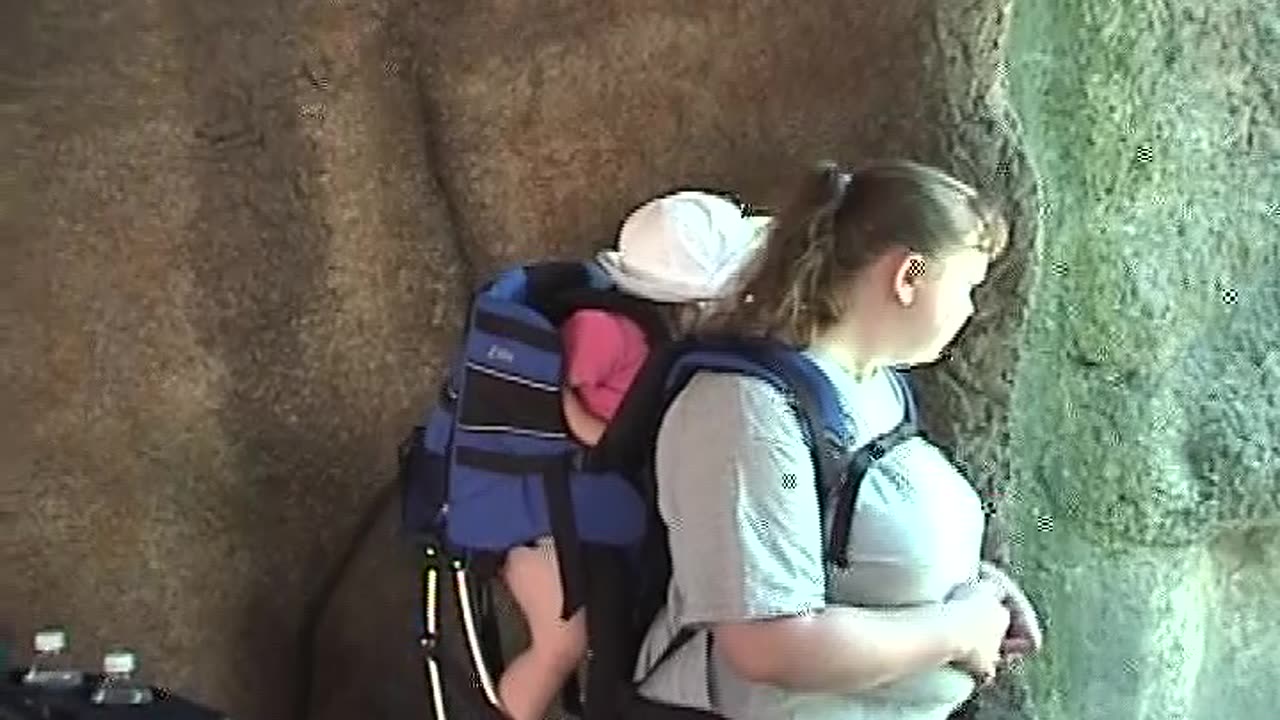 2004 Zoo Trip