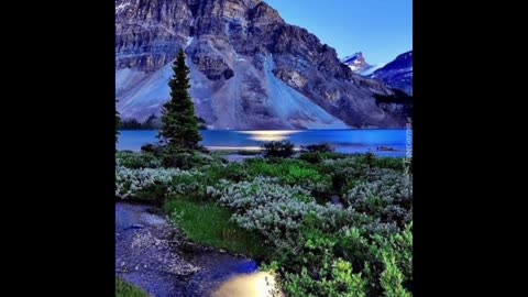 Nature beauty
