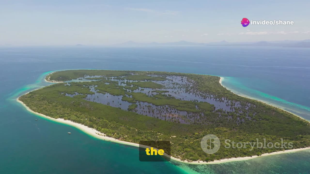What's Interesting About The Bahamas?
