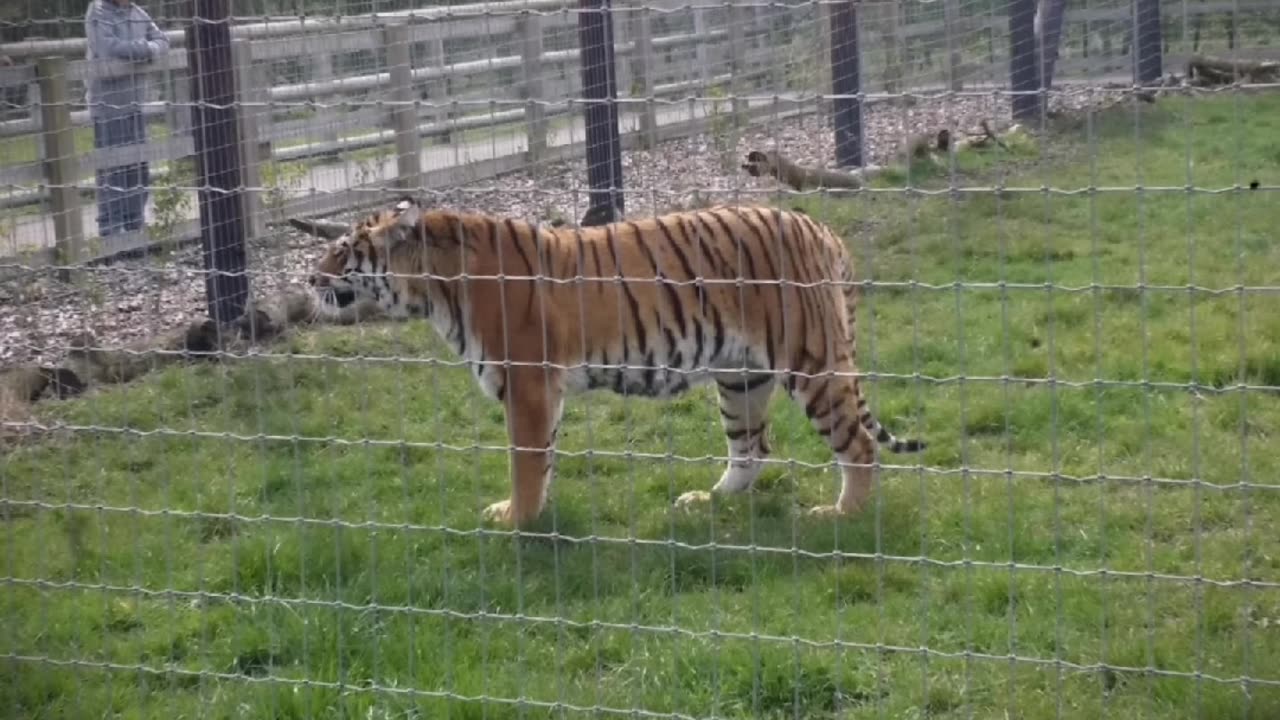 April 2016 Gabrielle's birthday, Woodside Wildlife park part 3