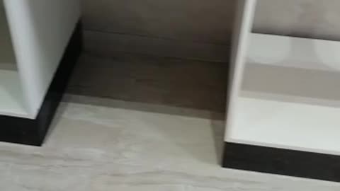 Modern kitchen equipment..