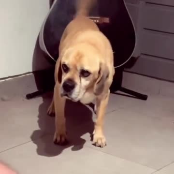 Friday night entertainment 🤣