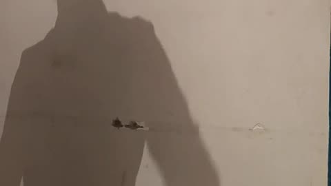 Raja Jawan Hum Laika By Rakesh Mishra & Akanksha Dubey