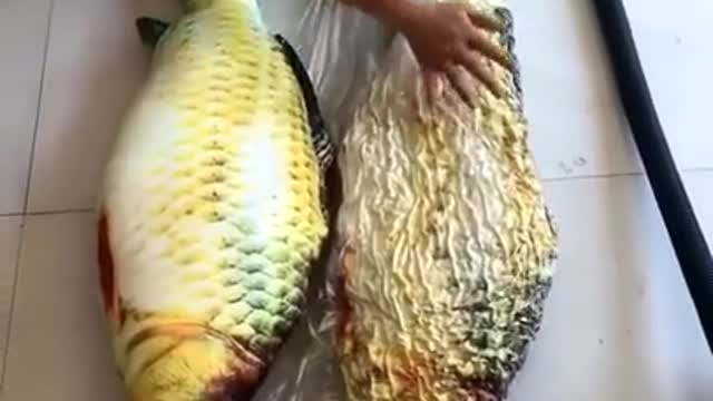 Most Satisfying Video