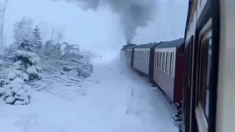 Relaxing train journey