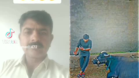 Funny vedio