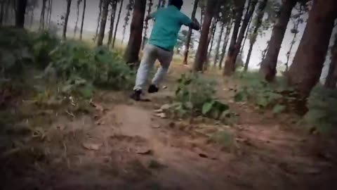 Tiger attack baby@₹#