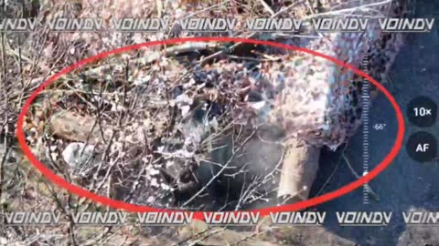 Drop from the copter of the 14th Special Forces Brigade on the AFU in the dugout