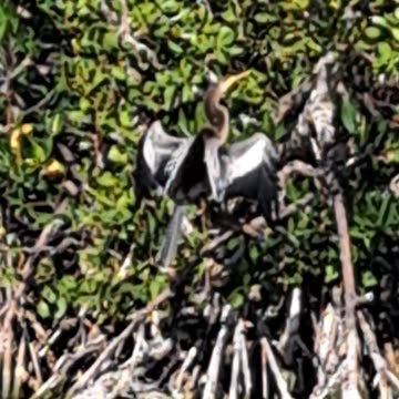 NEVERFORGET Lahaina, God help us EXPOSE the truth. Prov 19:5 2/7/24