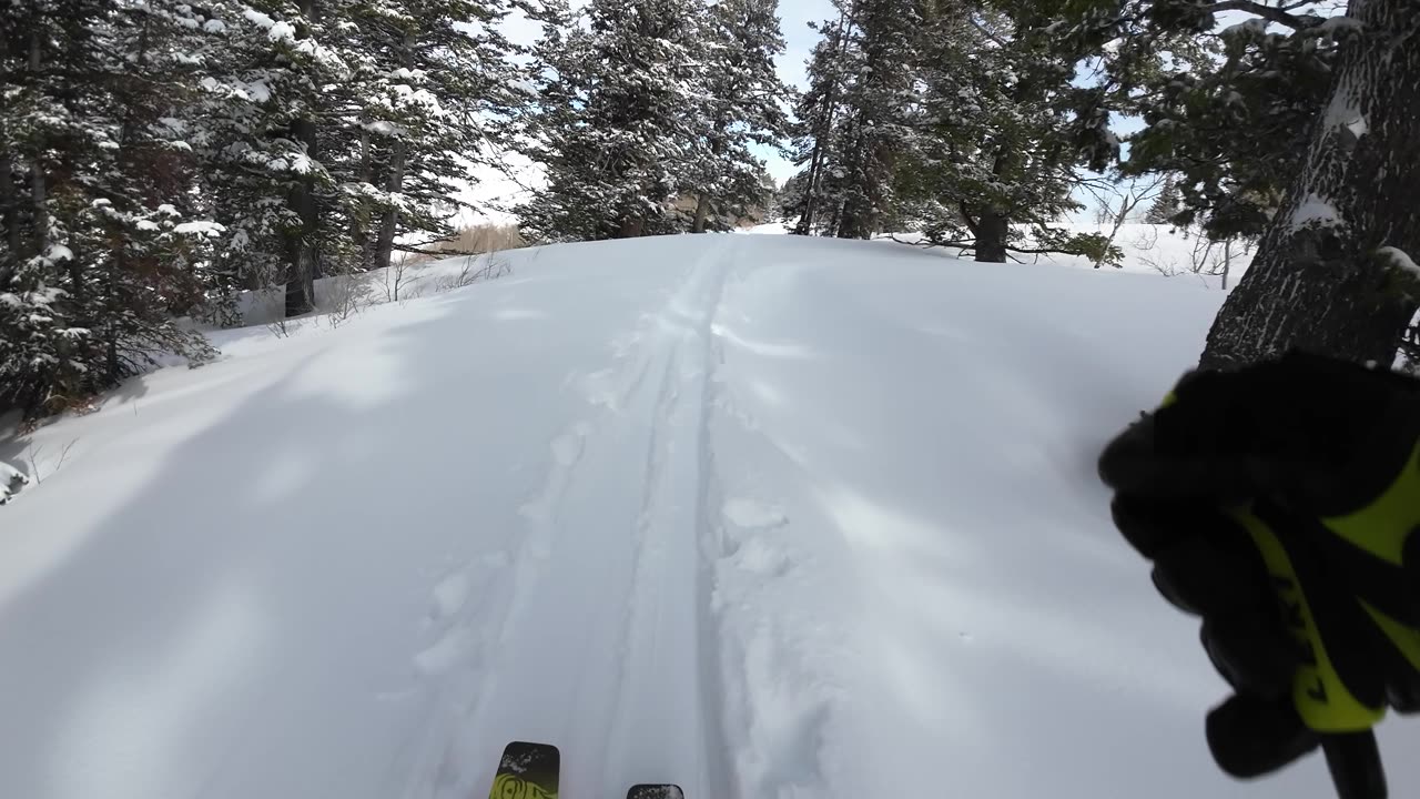 3/23 #7 oh boy this turned out well first time over here this year.