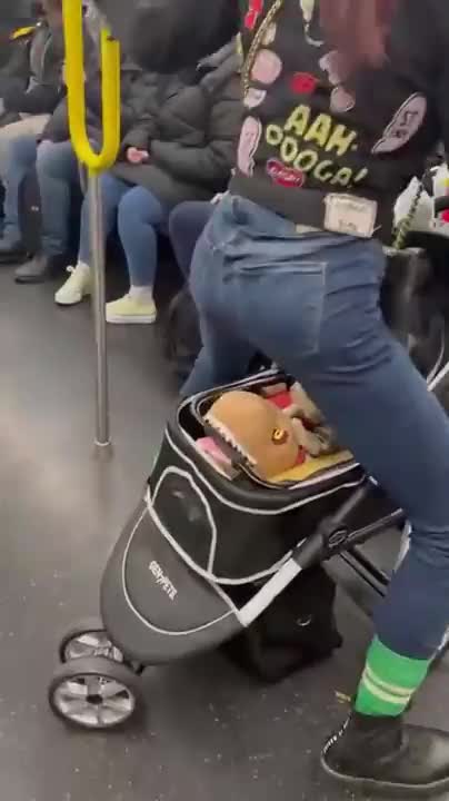 Mental health crisis