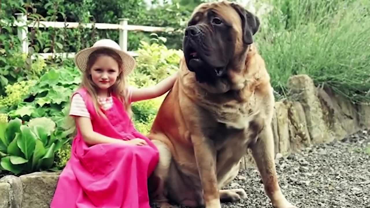 10 MOST UNUSUAL DOGS IN THE WORLD