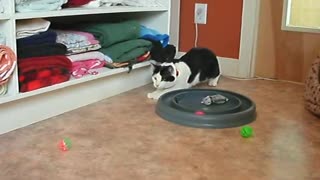 Po playing