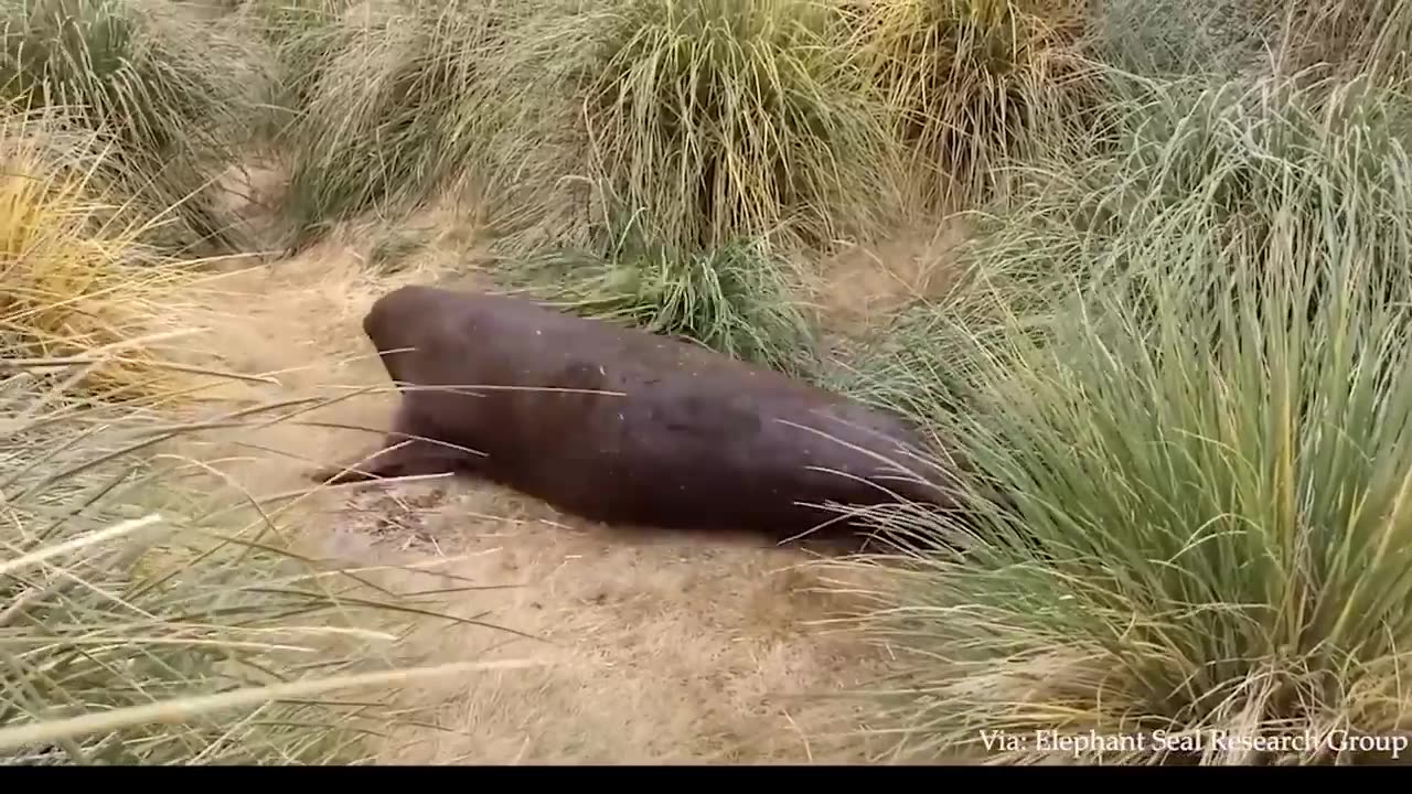 Cute and Funny Animals Compilation #30 | - 100 Heartwarming Acts Of Kindness Towards Animals