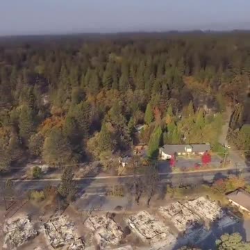 Maui tree evidence never has been clearer