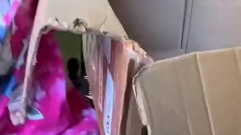 Khaby Lame Funny TikTok Videos