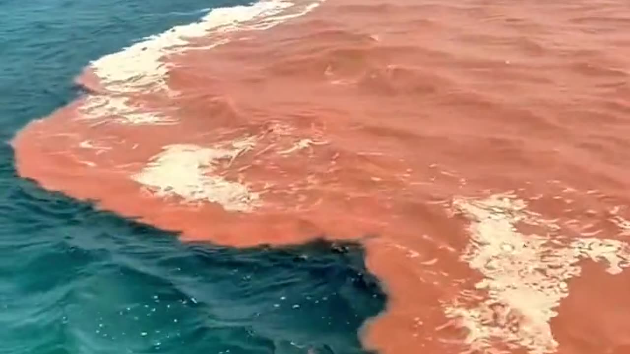 Boder off sea